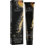 Hair Company Inimitable Color Pictura